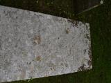 image of grave number 763323